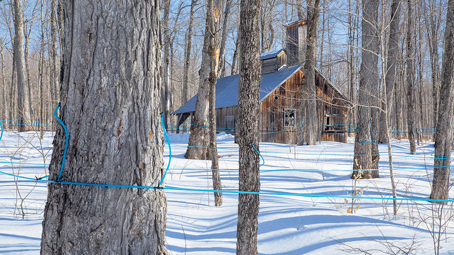 pxp_jet_pump_sugarshack_image_alt